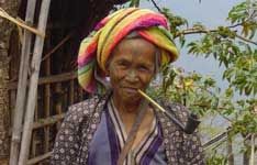 shwe