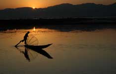 shwe