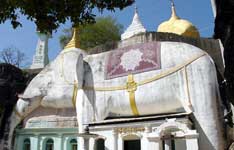 shwe