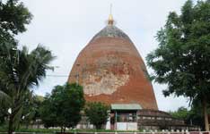 shwe